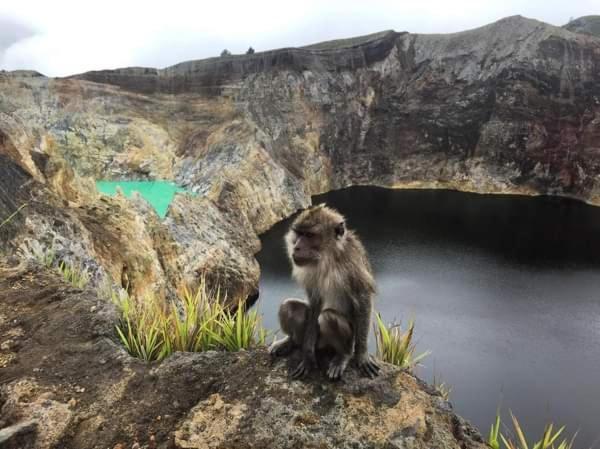 Andy'S Lodge Kelimutu Luaran gambar
